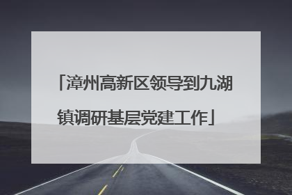 漳州高新区领导到九湖镇调研基层党建工作